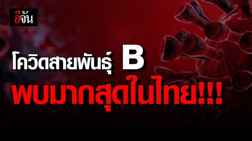กรมวิทยา-แพทย์ฯ เผย พบโควิดสายพันธุ์ B สายพันธุ์เดียวกับอู่ฮั่น มากที่สุดในไทย