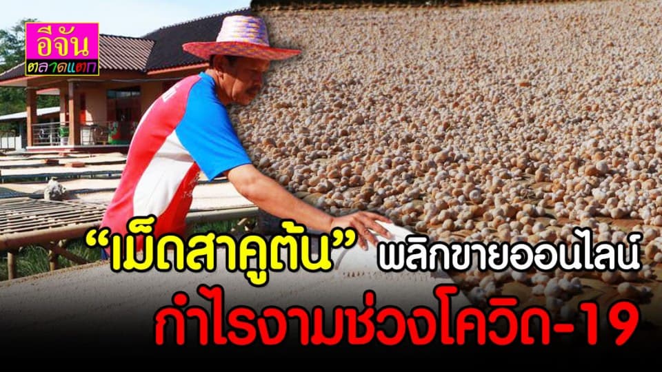 “เม็ดสาคู” ขายออนไลน์ กำไรงามช่วงโควิด-19