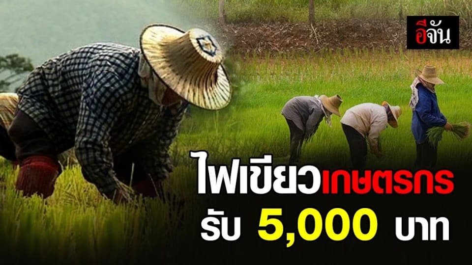 ครม. เคาะแล้ว เกษตรกรรับ 5,000 บาท นาน 3 เดือน ไม่ต้องลงทะเบียนขอรับเงิน