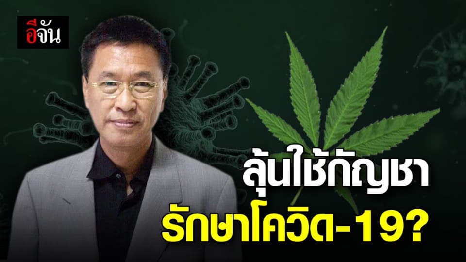 เเพทย์เผย อิสราเอลเริ่มทดลองใช้กัญชารักษา โควิด-19