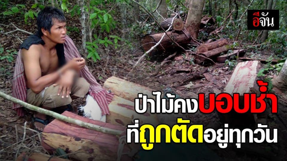 จับชาวกัมพูชา ลอบข้ามแดนมาตัดไม้ในเขต ขสป.ห้วยศาลา