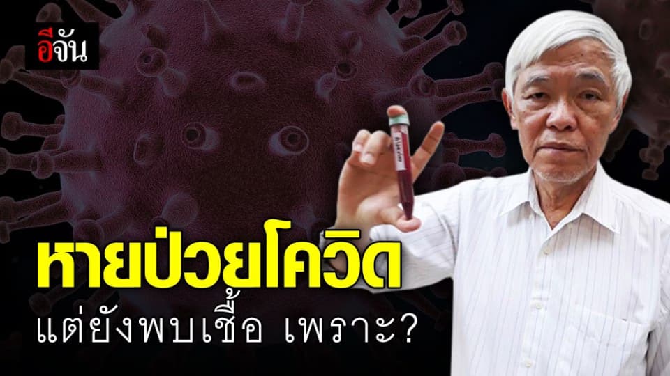 สบายใจได้! หมอยง ชี้หายป่วยโควิด-19 แล้ว แต่ตรวจพบเชื้ออีก ไม่ได้แปลว่าติดเชื้อซ้ำ