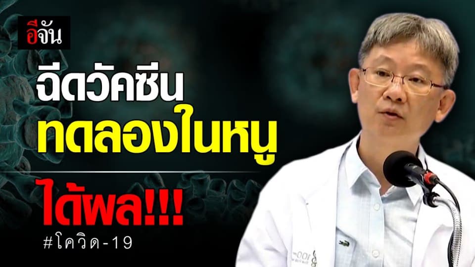 ข่าวดี! ผลทดลองวัคซีนโควิด-19 ของไทยในสัตว์ ได้ผลน่าพอใจ
