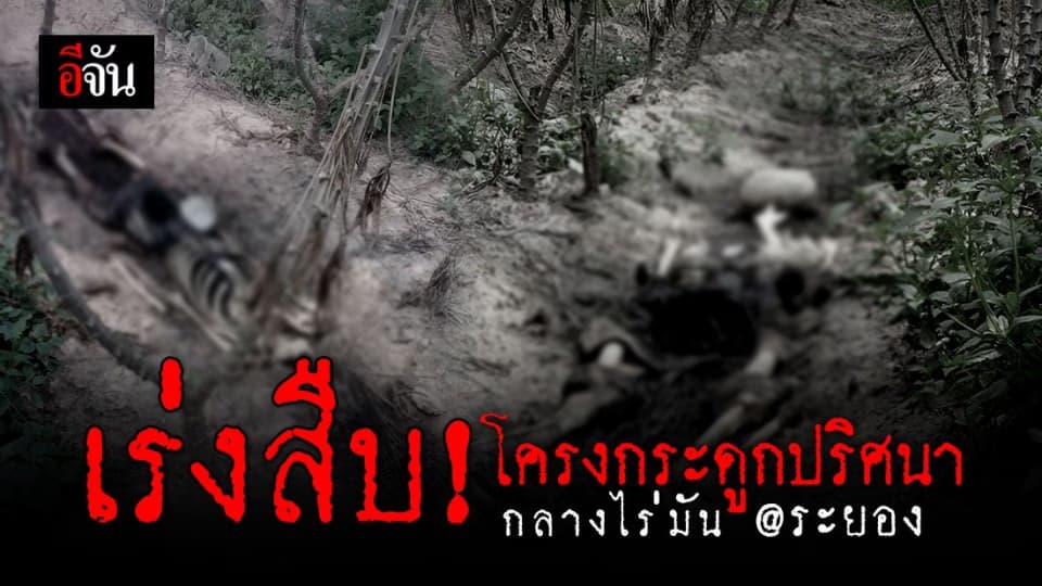ผงะ ชาวบ้าน พบโครงกระดูกมนุษย์ปริศนา อยู่กลางไร่มันสำปะหลัง ตร.เร่งสืบสวน