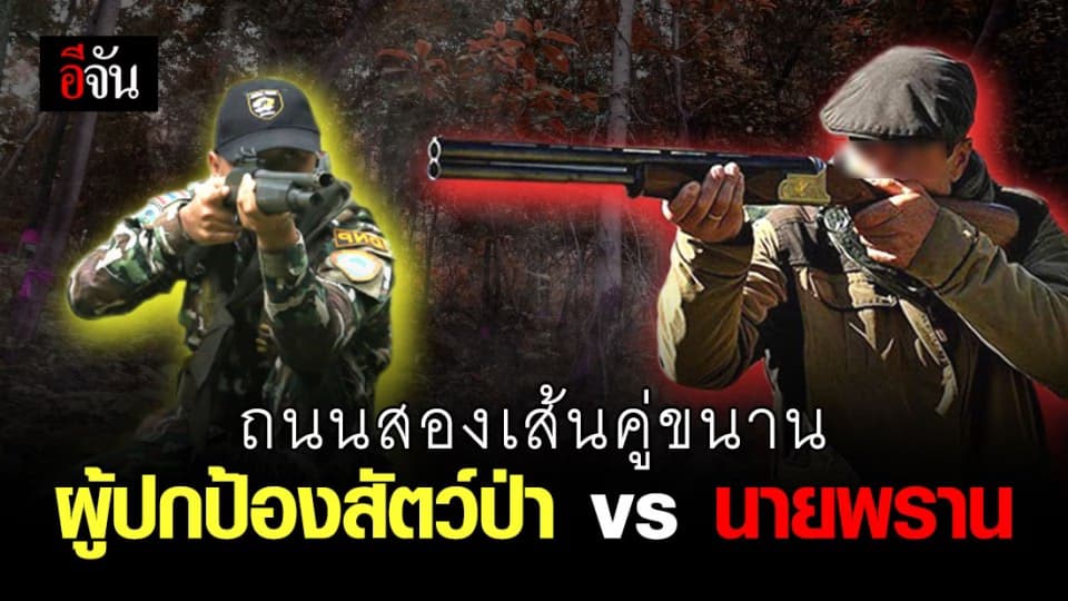 เรื่องเล่าเสือโคร่งที่ตายอย่างทรมาน  กับถนนสองเส้นที่คู่ขนาน  ระหว่างผู้พิทักษ์ป่า และ นายพราน