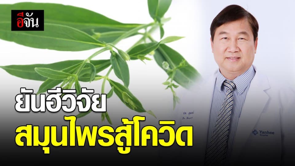 รพ.ยันฮี เปิดตัว “ยันฮี ฟ้าทะลายโจร” แนะนำเป็นยาประจำบ้าน