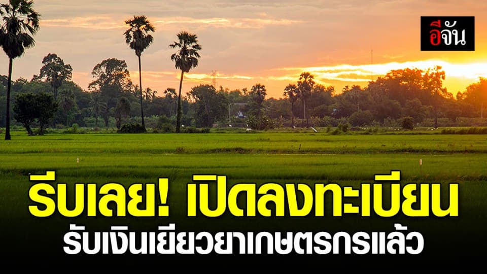 เริ่มแล้ว! เว็บไซต์เยียวยาเกษตรกร เปิดให้ลงทะเบียนรับสิทธิ์แล้ว