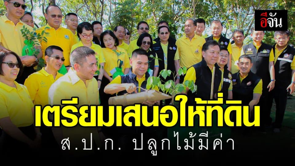 จ่อชง ครม. ปลดล็อกที่ดิน ส.ป.ก. ปลูกไม้มีค่าตัดขายได้