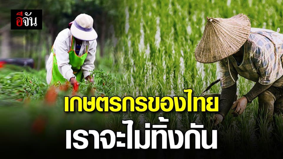 เร่งเยียวยาเกษตรกร โดนพิษโควิด-19 ด้าน รมว.เกษตรฯ ย้ำชัด #เราจะไม่ทิ้งกัน