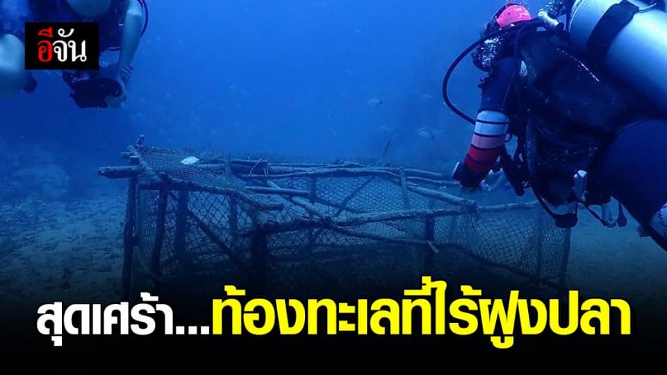 เรื่องเล่าจากความรู้สึกนักดำน้ำ กองหินชุมพร ในวันที่ไม่มีฝูงปลาแหวกว่าย