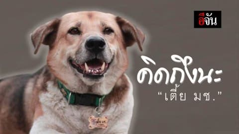 คิดถึงนะ พี่เตี้ยมช.