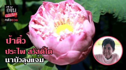 ซีรีย์กลัวรวย ตอน ป้าติ๋ว นาบัวลุงแจ่ม