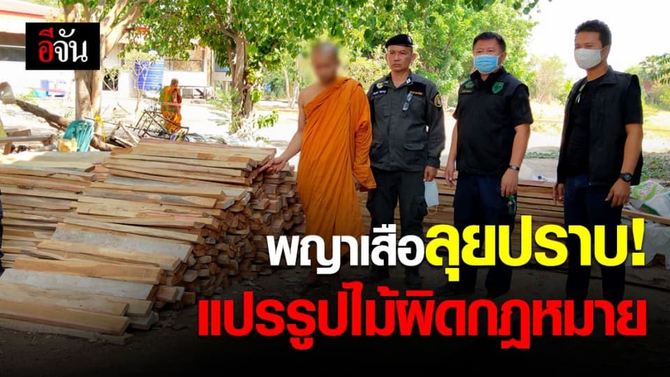 หน่วยพญาเสือ จับเจ้าอาวาส แปรรูปไม้ไม่ได้รับอนุญาต