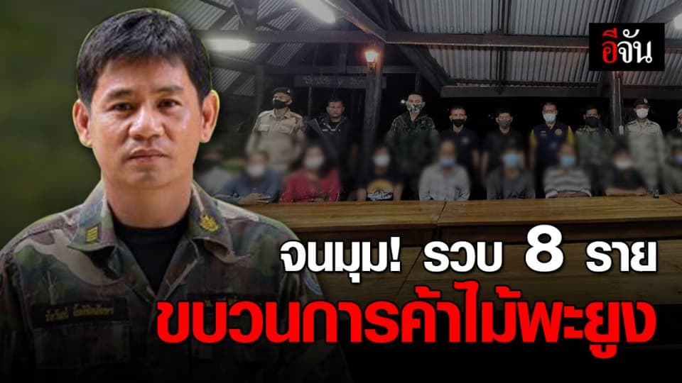 รวบยกแก๊งทำไม้ ป่าห้วยศาลา ผู้ว่าจ้างซัดต่อผู้ร่วมขบวนการ