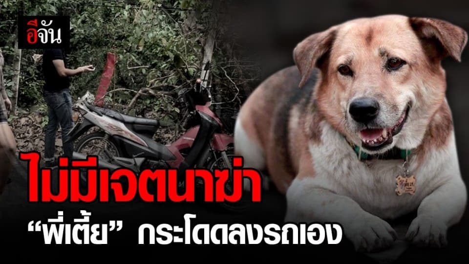 วอนสังคมเห็นใจ! ไม่ได้ตั้งใจพาเตี้ยไปตาย