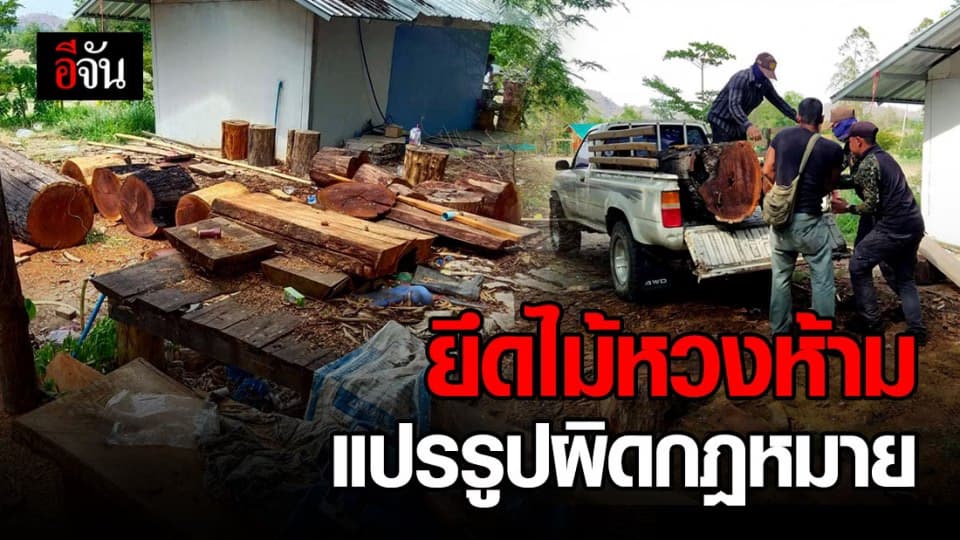 พญาเสือลุยยึดไม้หวงห้าม ถูกลับลอบแปรรูปผิดกฎหมาย