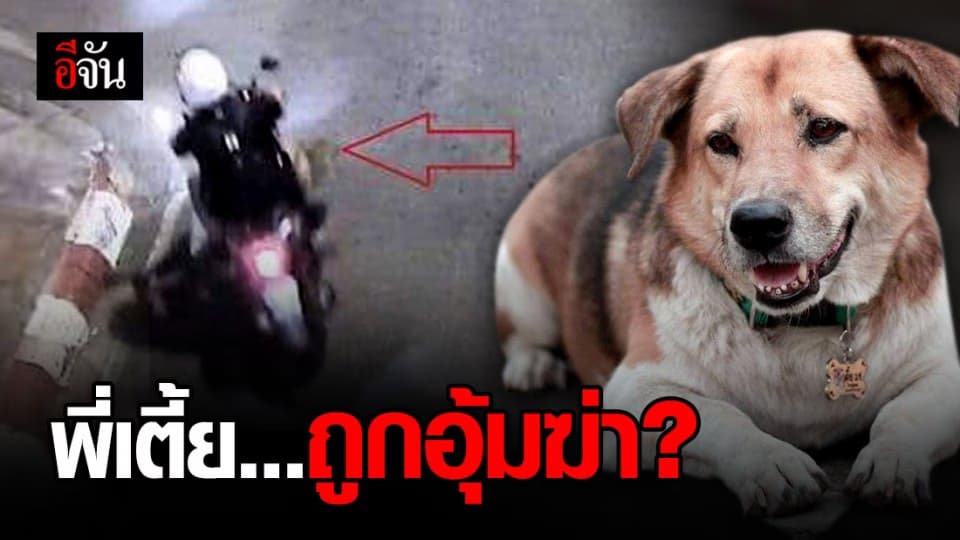 วอชด็อกฯ ตั้งข้อสังเกต พี่เตี้ย มช. อาจถูกอุ้มฆ่า?