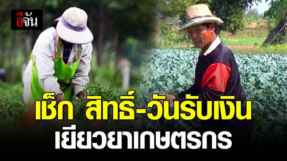 เกษตรกร เช็กด่วน! วันรับเงินเยียวยา 5,000 บาท/เดือน