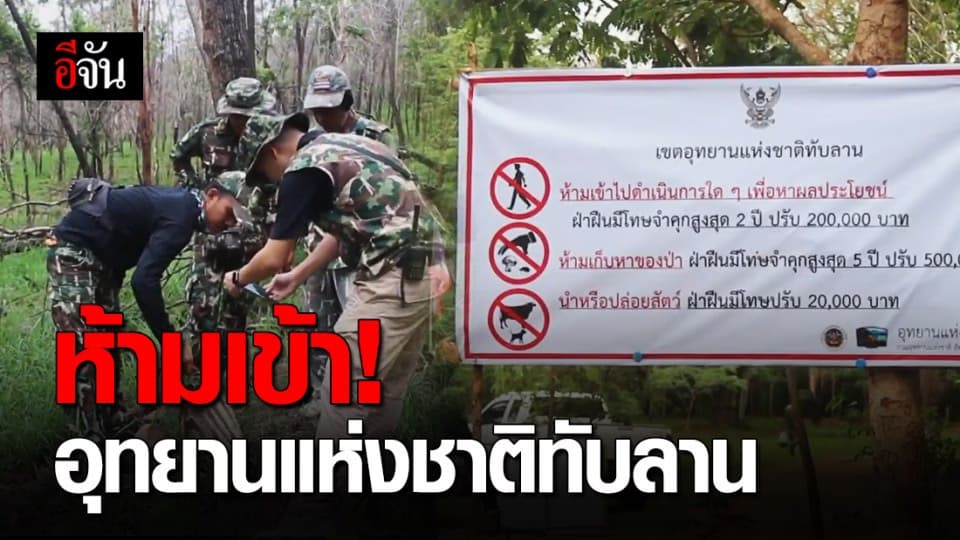 ประกาศห้ามเข้าเขตป่าทับลาน หลังพบซากกระทิงถูกชำแหละ 2 ตัวใน 1 เดือน