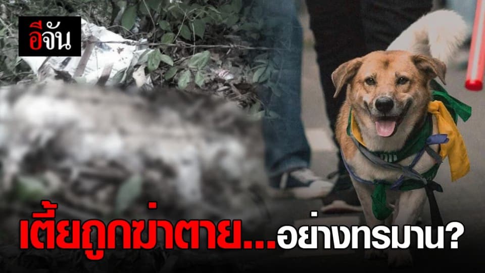 10 นาที ก่อนตาย พี่เตี้ย มช. มีแต่ความทรมาน