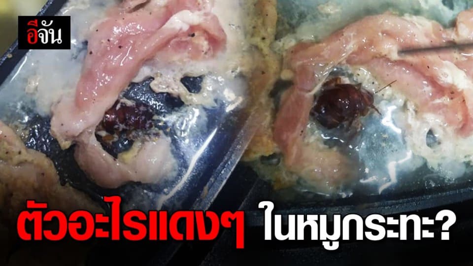 สาวกหมูกระทะร้องกรี๊ด เจอแมลงสาบในเนื้อหมูแช่แข็ง ขณะนั่งกินหมูกระทะ?