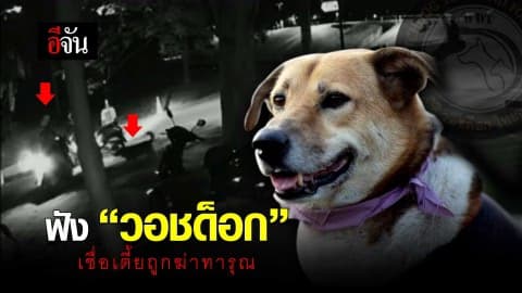 ฟังวอชด็อก เชื่อเตี้ยถูกฆ่าทารุณ