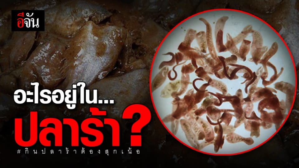เตือนคอปลาร้า – ปลาส้ม กินแซ่บ ระวังได้พยาธิเป็นของแถม