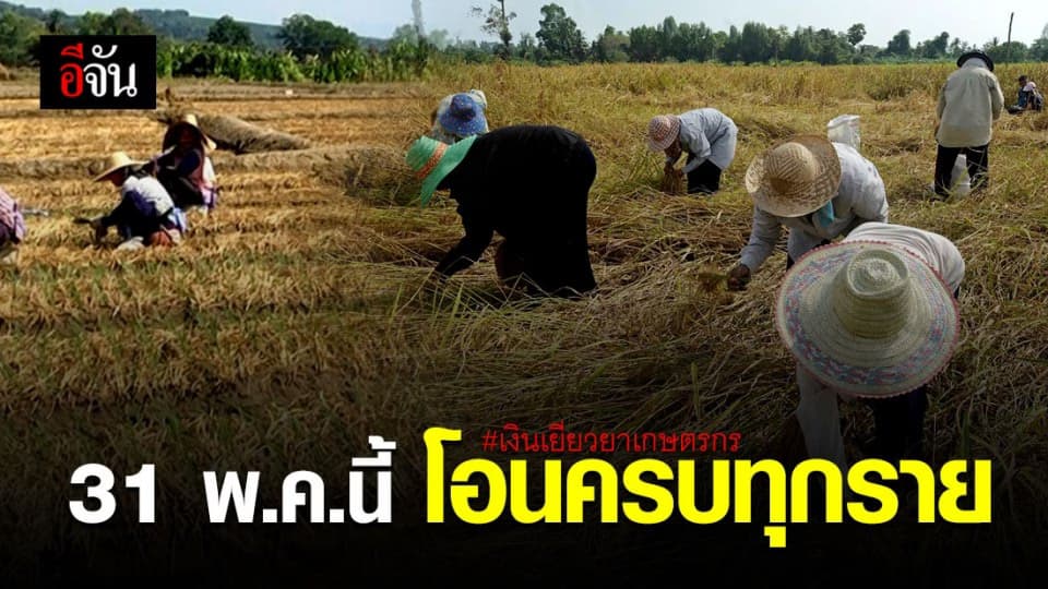 ธ.ก.ส.เร่งโอนเงินเยียวยาเกษตรกร ให้ครบทุกรายภายในสิ้นเดือนนี้