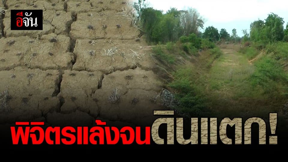 พิจิตรวิกฤต แหล่งน้ำแห้งขอด จนชาวนาปล่อยผืนนาว่างเปล่า