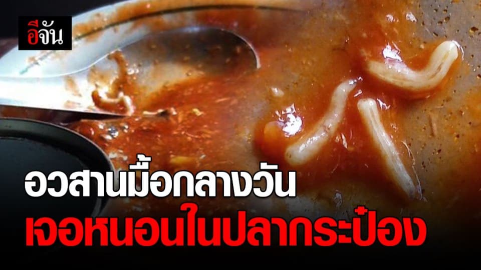 มาได้ไงเนี่ย! ถุงยังชีพ แถมหนอนตัวใหญ่ในปลากระป๋อง