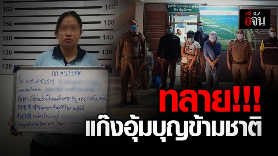จับแก๊งอุ้มบุญข้ามชาติ พบมีแพทย์เอี่ยวด้วย