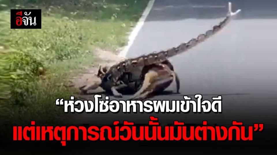 เปิดใจ นักวิชาการสวนสัตว์ หลังช่วยกวางจากงูรัดในสวนสัตว์