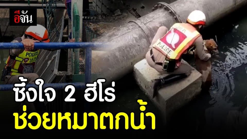 2 ตำรวจจราจรใจดี ช่วยหมาตกน้ำ