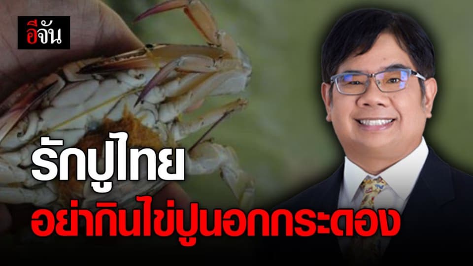 ดร.ธรณ์แนะรักปูไทย งดขาย-งดกิน ไข่ปูนอกกระดอง