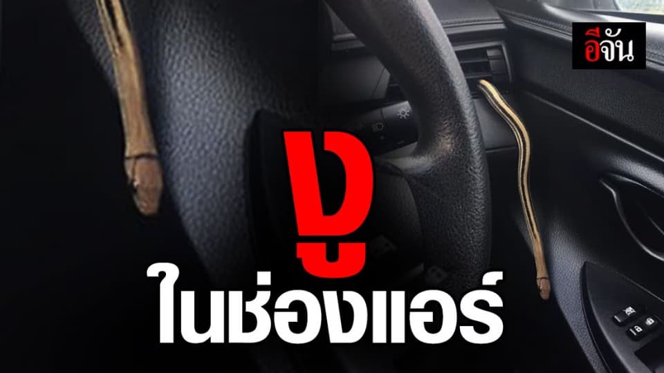 สาวขวัญกระเจิง อยู่ๆงูก็มีงูเลื้อยออกมาจากช่องแอร์รถ