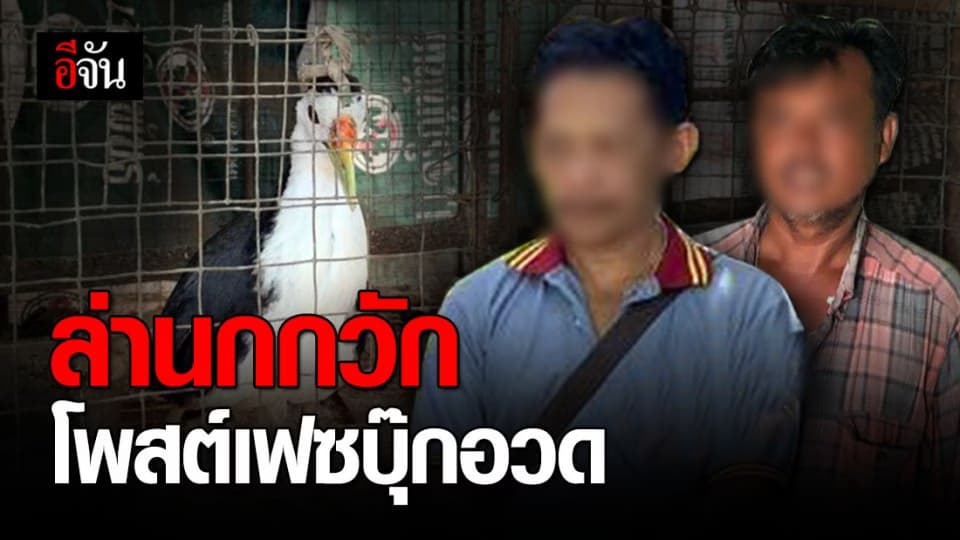 พญาเสือ จับ 2 หนุ่ม ล่านกกวัก ก่อนโพสต์อวดลงโซเชียล