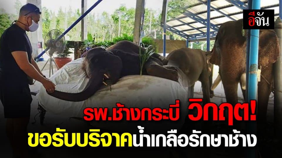 น้ำเกลือรักษาช้างขาดแคลน รพ.ช้างกระบี่ ขอรับบริจาคน้ำเกลือจำนวนมาก