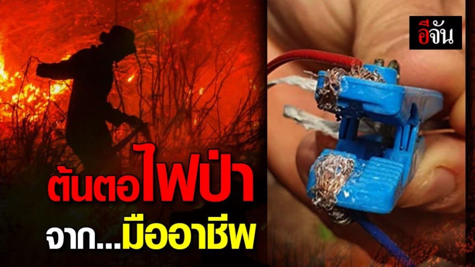 ที่แท้ไฟป่าภาคเหนือ มาจากความตั้งใจของใครบางคน!