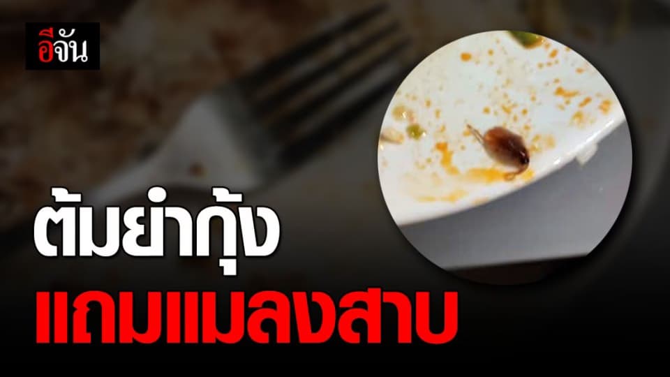 ช็อก! พาแฟนไปทาอาหารร้านดังย่านพรานนก เจอแมลงสาบในต้มย้ำกุ้ง