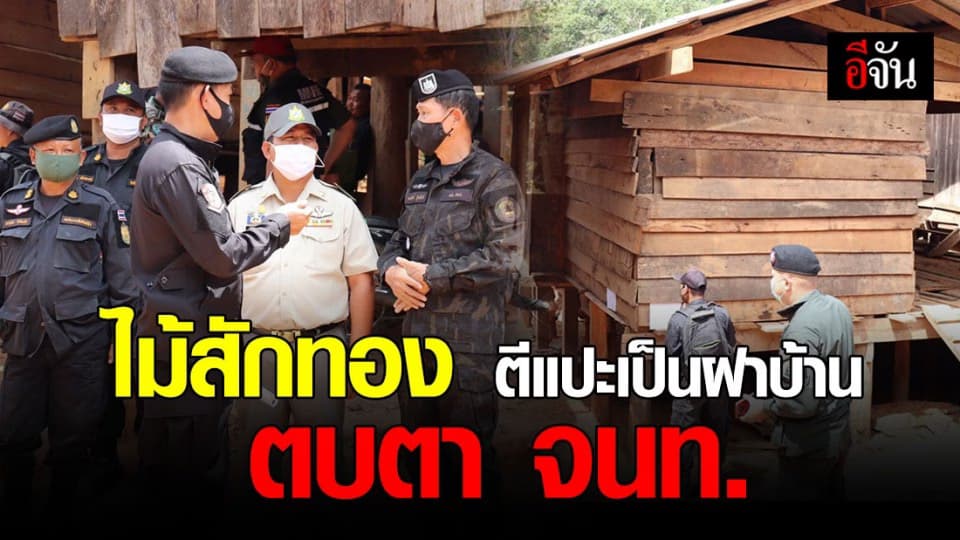 ไม้สักทอง ตีแปะเป็นฝาบ้าน ตบตา จนท.