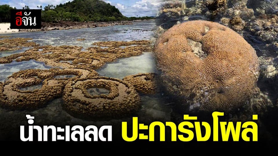 ปะการังเกาะทะลุ จ.ประจวบฯ โผล่อวดโฉมความสมบูรณ์