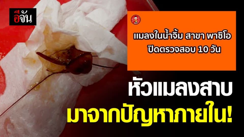 สุกี้เจ้าดังแจงยิบ ปมหัวแมลงสาบในน้ำจิ้ม เกิดจากปัญหาภายใน