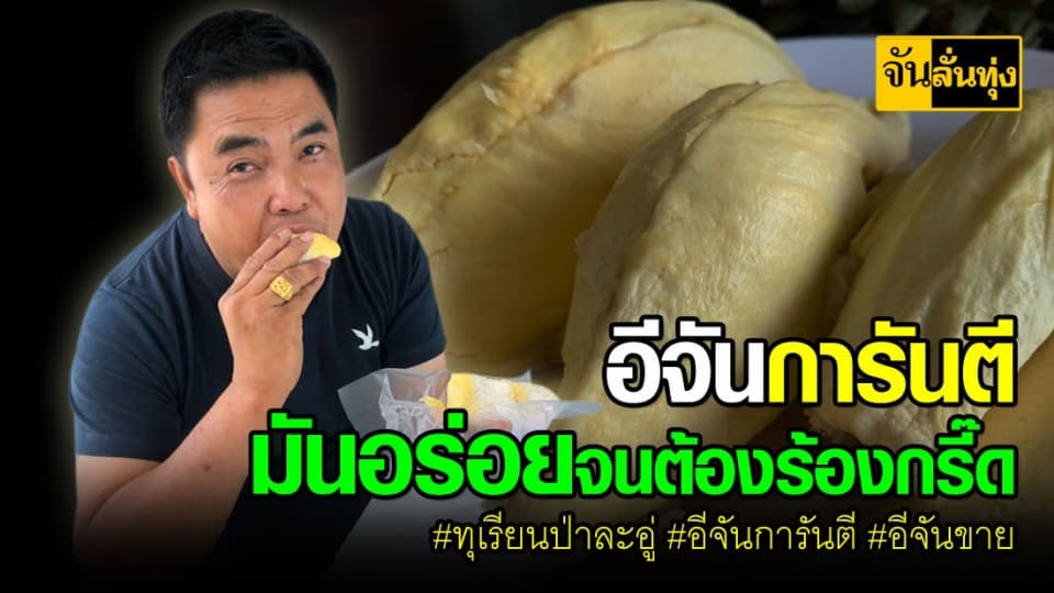 ทุเรียนป่าละอู 1 ปีมีครั้งเดียว!