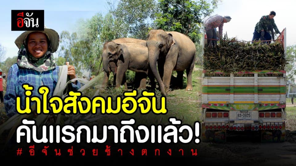 รถบรรทุกขนน้ำใจอีจันรอบเเรก มาให้พี่ๆช้างเเล้ว