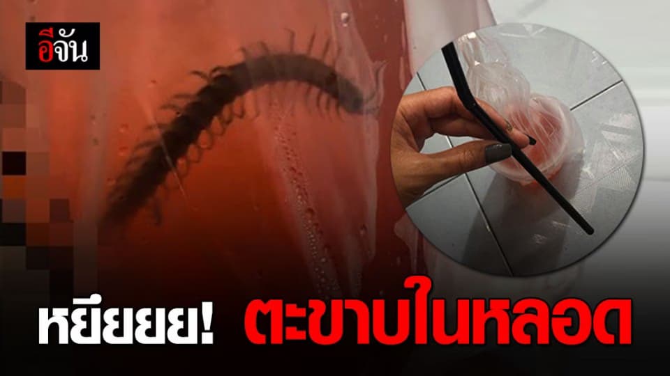 อุทาหรณ์ตะขาบซุกในหลอด เตือนก่อนกินดูให้ดี