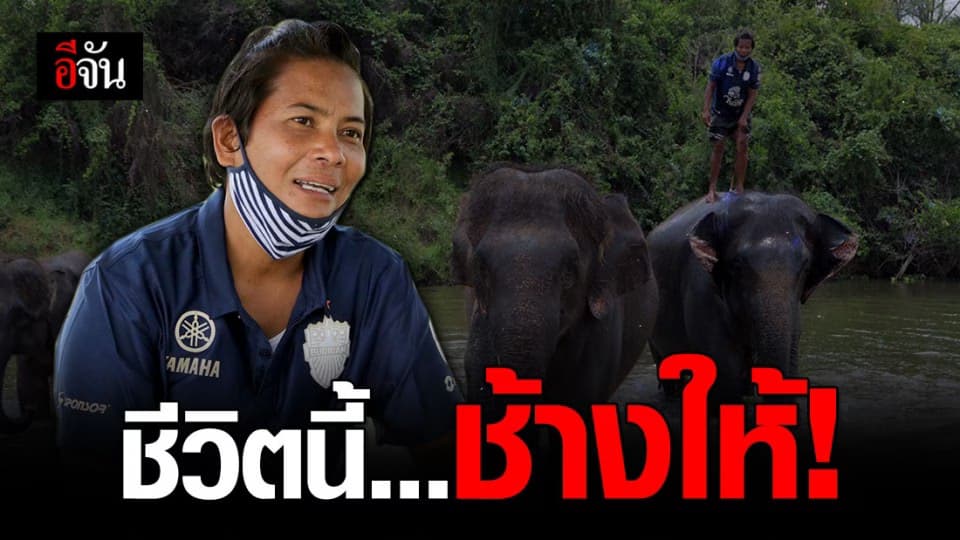 ควาญช้างสาวแกร่งระบายทุกข์กับอีจัน หลังสังคมตีตราหากินกับช้าง