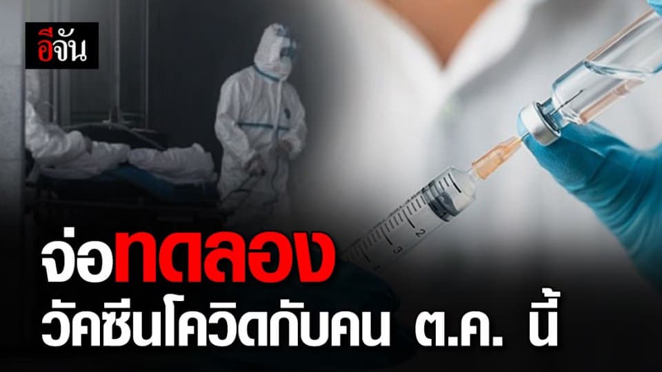 ไทยจ่อทดลองวัคซีนโควิด-19 ในมนุษย์ ต.ค. นี้