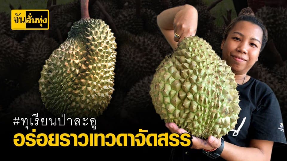 #ทุเรียนป่าละอู ทุเรียนพรีเมี่ยม อีจันกิน อีจันรีวิว อีจันขาย