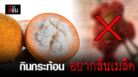 กินกระท้อนอย่ากลืนเมล็ด