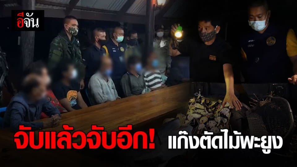 คดีขบวนการค้าไม้พะยูง ขยายผลจับเครือข่าย 31 คน!